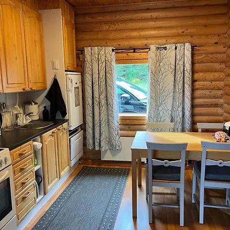 Båthotell Kivisalmi Ja Aurorahut Viitasaari