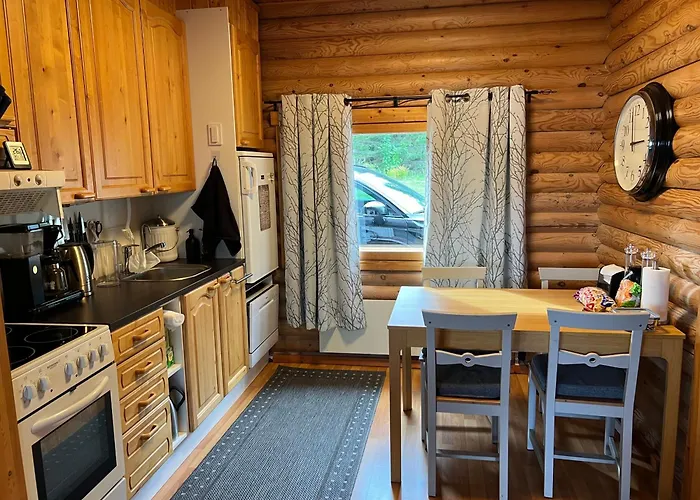 Bådhotel Kivisalmi Ja Aurorahut Viitasaari